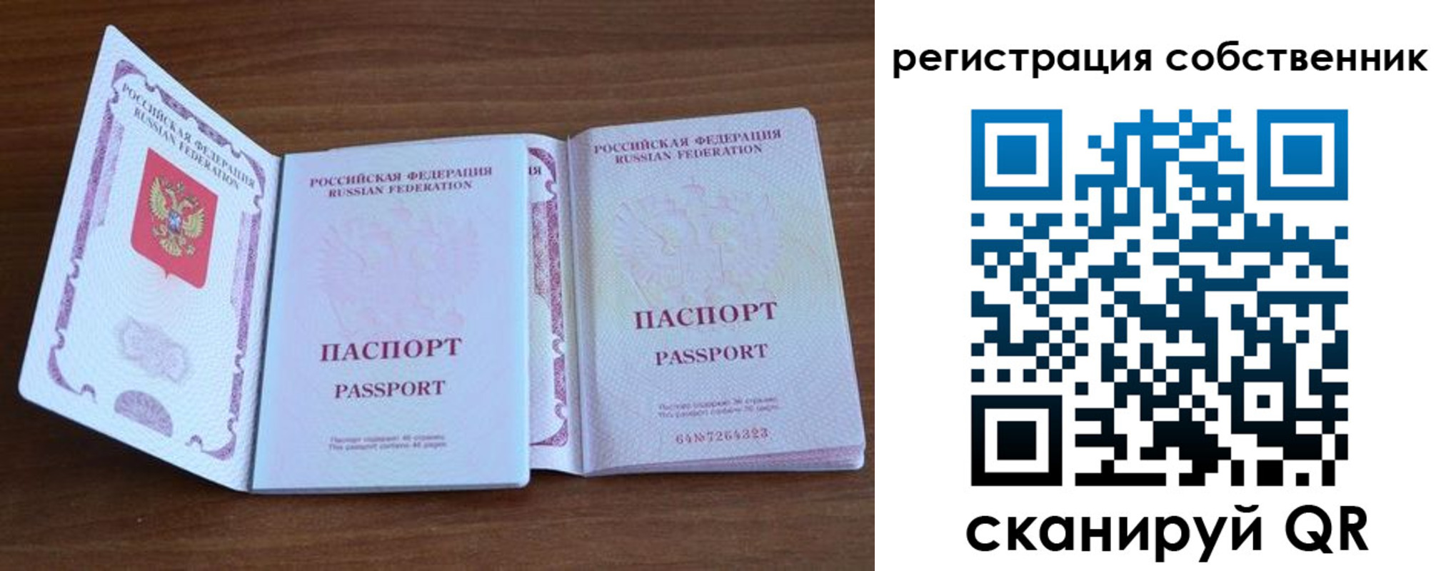 где прописаться в Нелидово