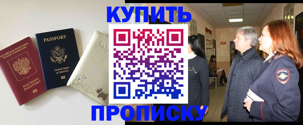 где прописаться в Нелидово